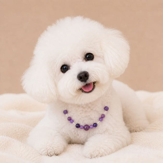 Natural Crystal Pet Collar - Style 08