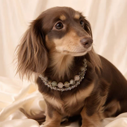 Luna Crystal Luxe Pet Collar - Style 25