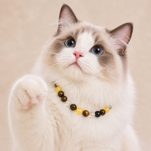 Golden Aura Crystal Pet Collar - Style 01