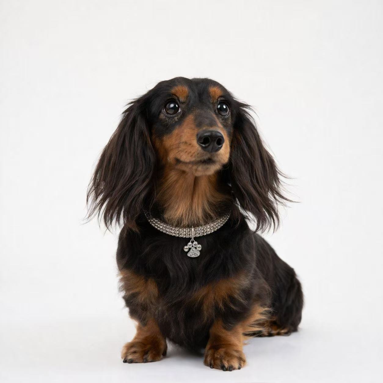 Luxury Rhinestone Pet Collar - Style 10