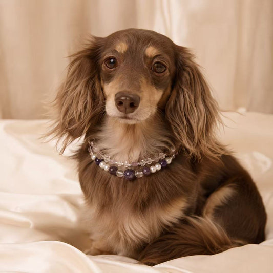 Luxe Crystal & Rhinestone Pet Collar- Style 22