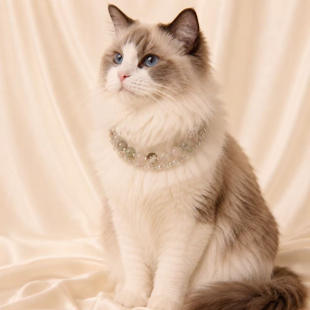 Luna Crystal Luxe Pet Collar - Style 25