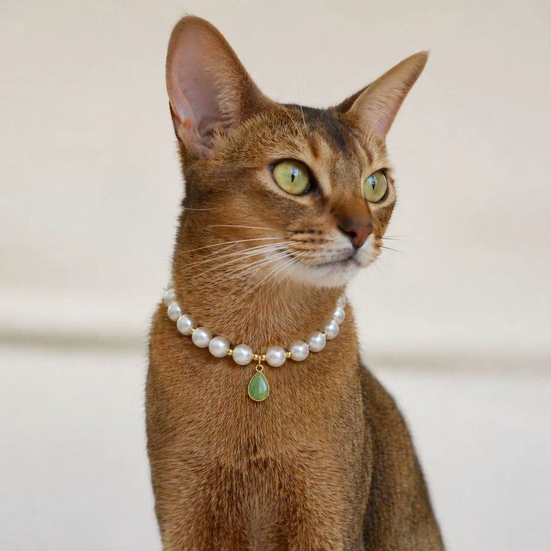 Pearl Teardrop Pet Jewelry Necklace - Style 02