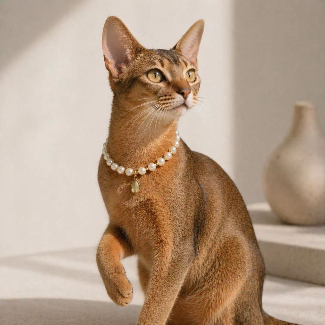 Pearl Teardrop Pet Jewelry Necklace - Style 02