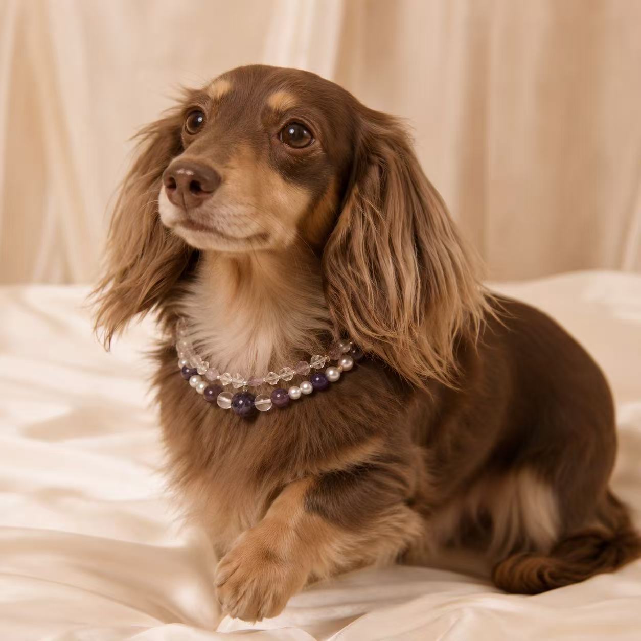 Luxe Crystal & Rhinestone Pet Collar- Style 22