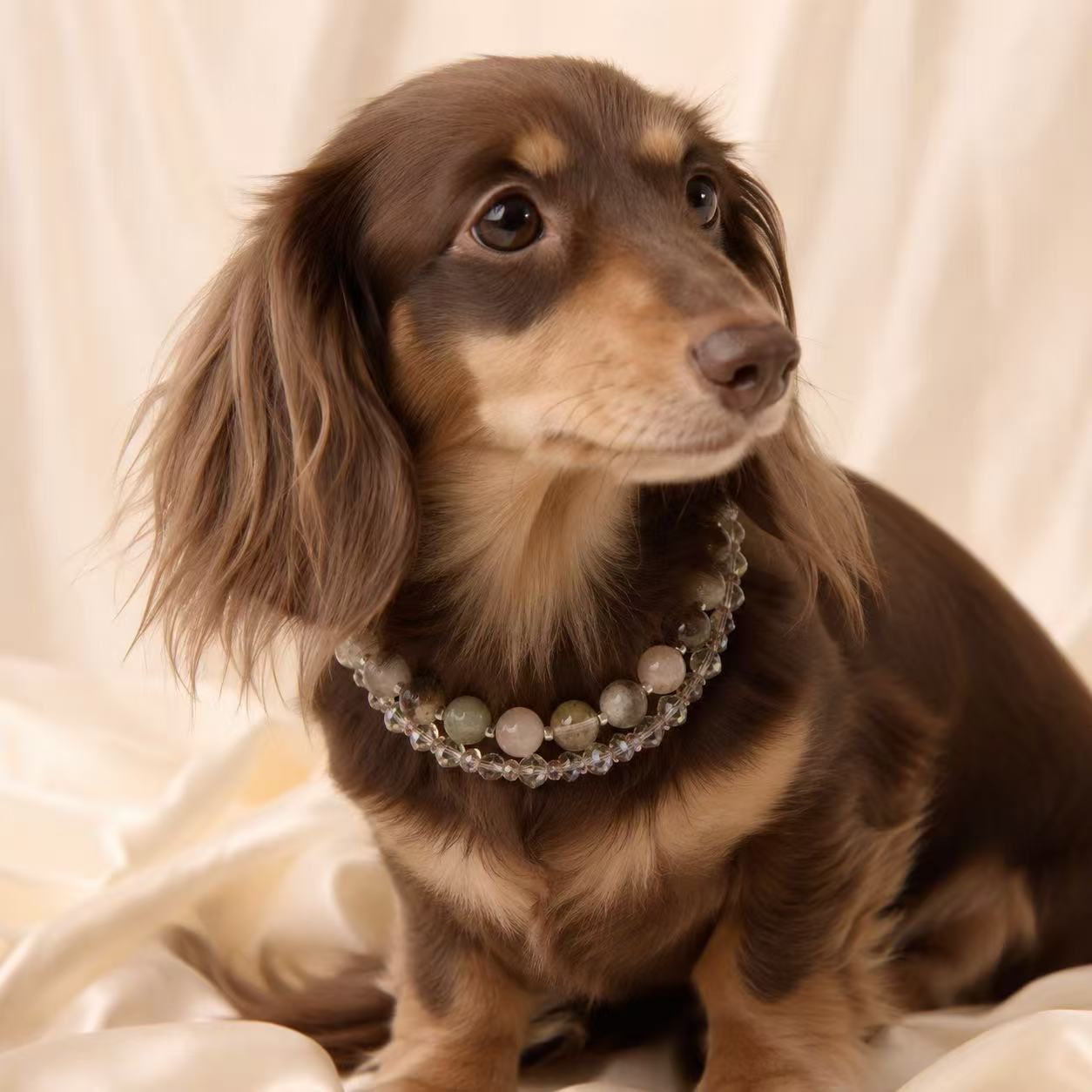 Luna Crystal Luxe Pet Collar - Style 25