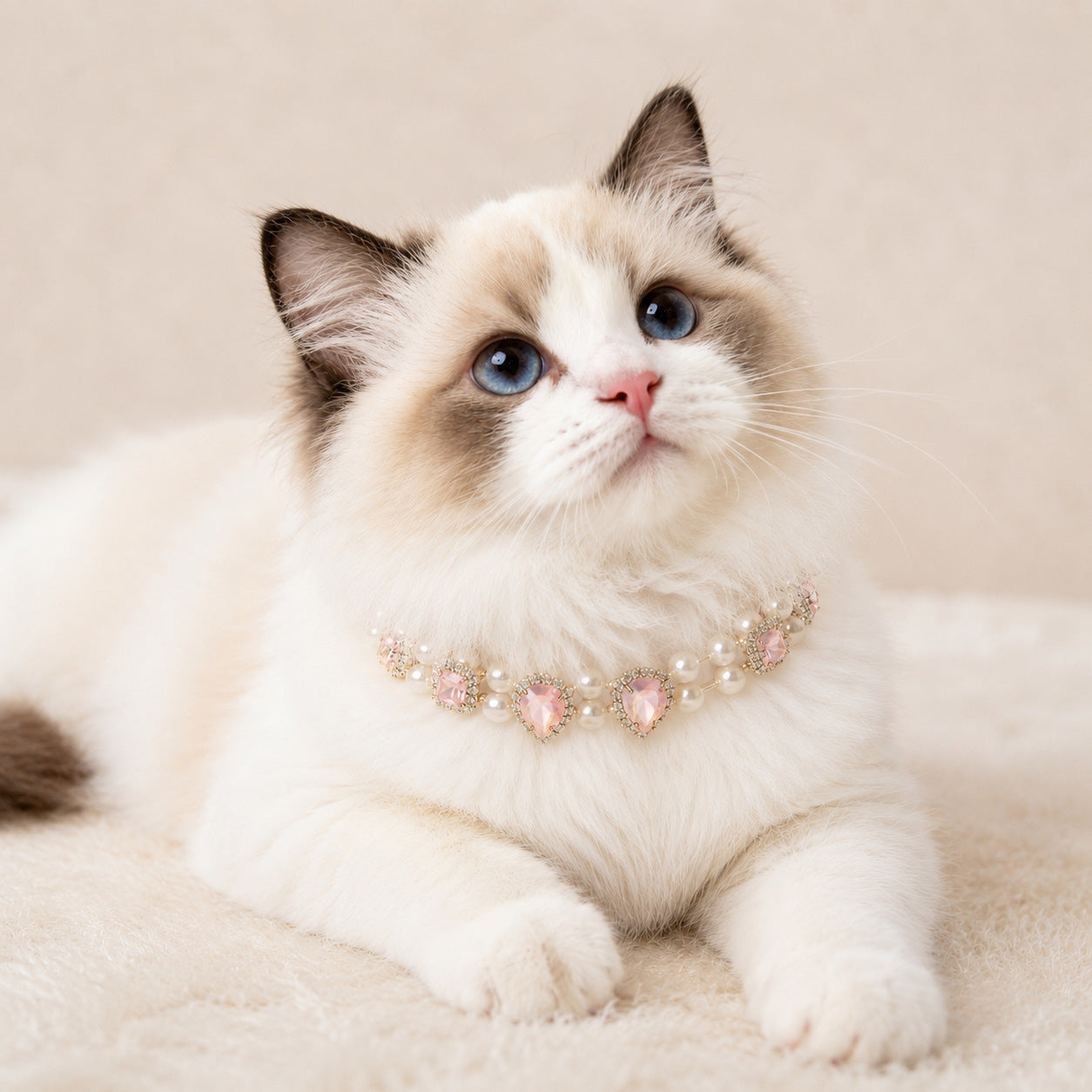 Pearl Pet Collar Necklace 21