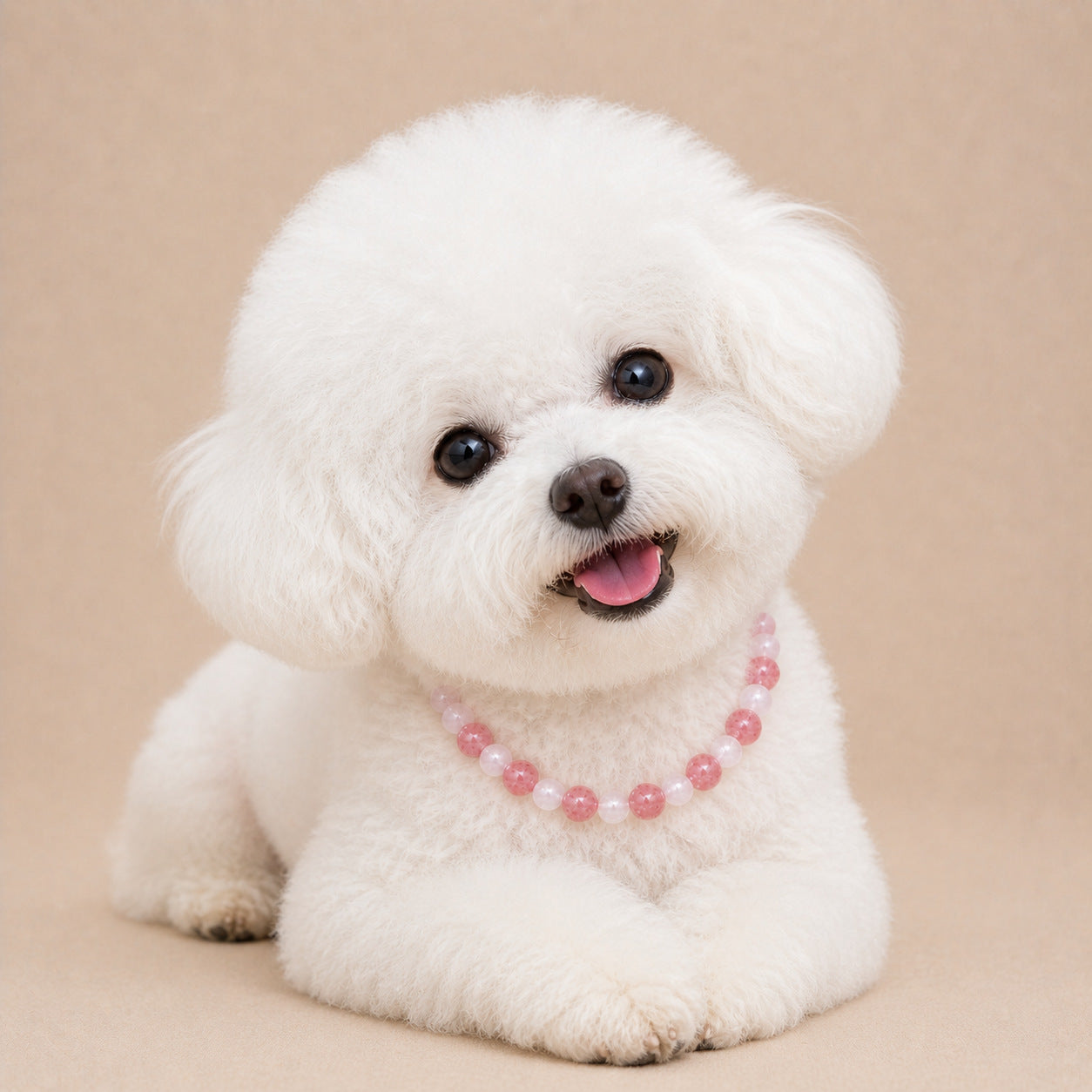 Rose Quartz Crystal Pet Collar 05