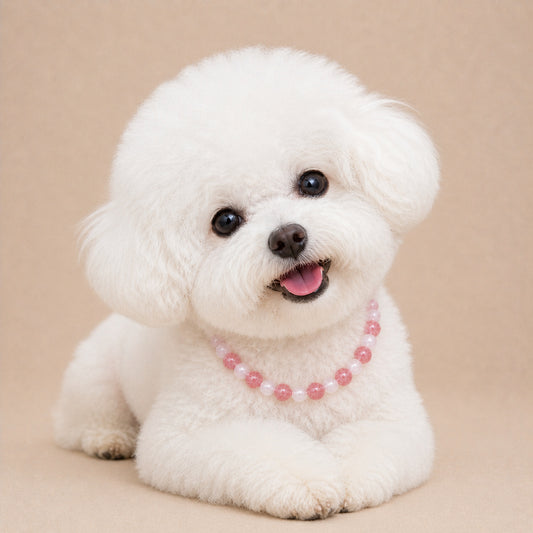 Rose Quartz Crystal Pet Collar 05
