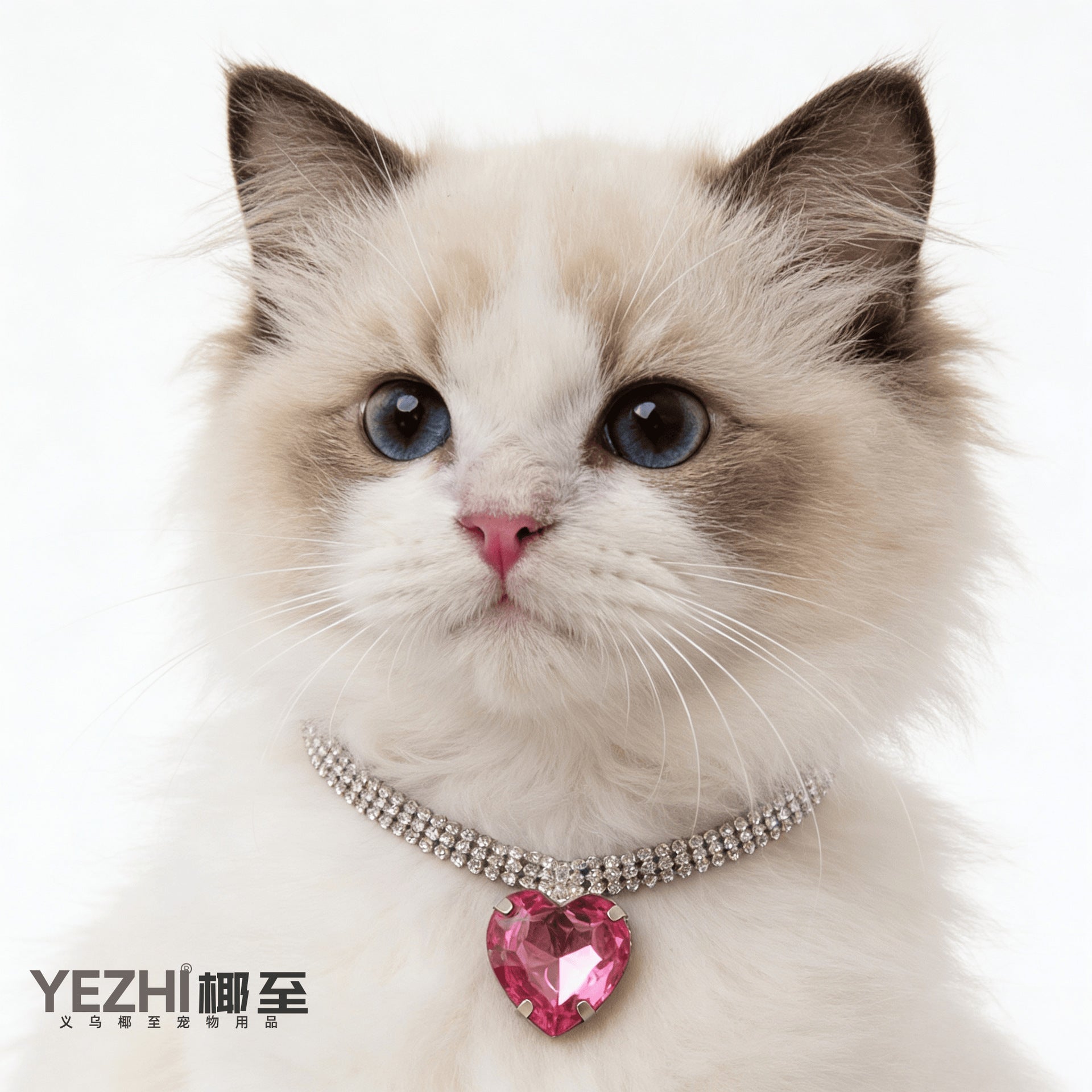 欧美爆款宠物爱心镶钻项圈芭比风猫狗项链跨境宠物饰品现货批发批