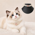 Teardrop Gem Pet Necklace 19