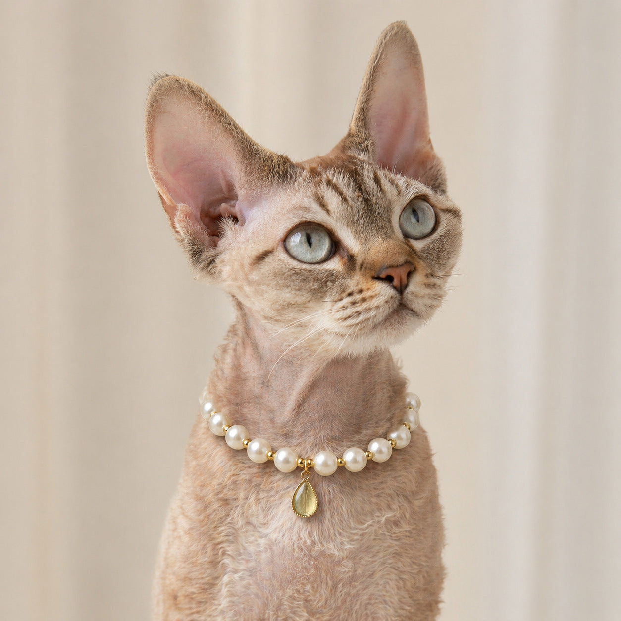 Teardrop Gem Pet Necklace 02