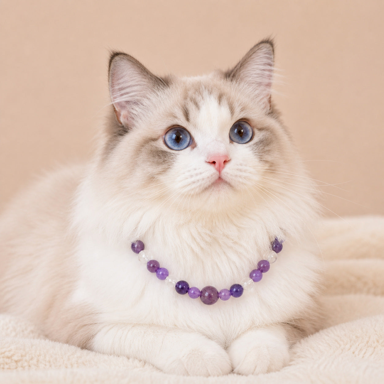 Obsidian Crystal Pet Collar 08