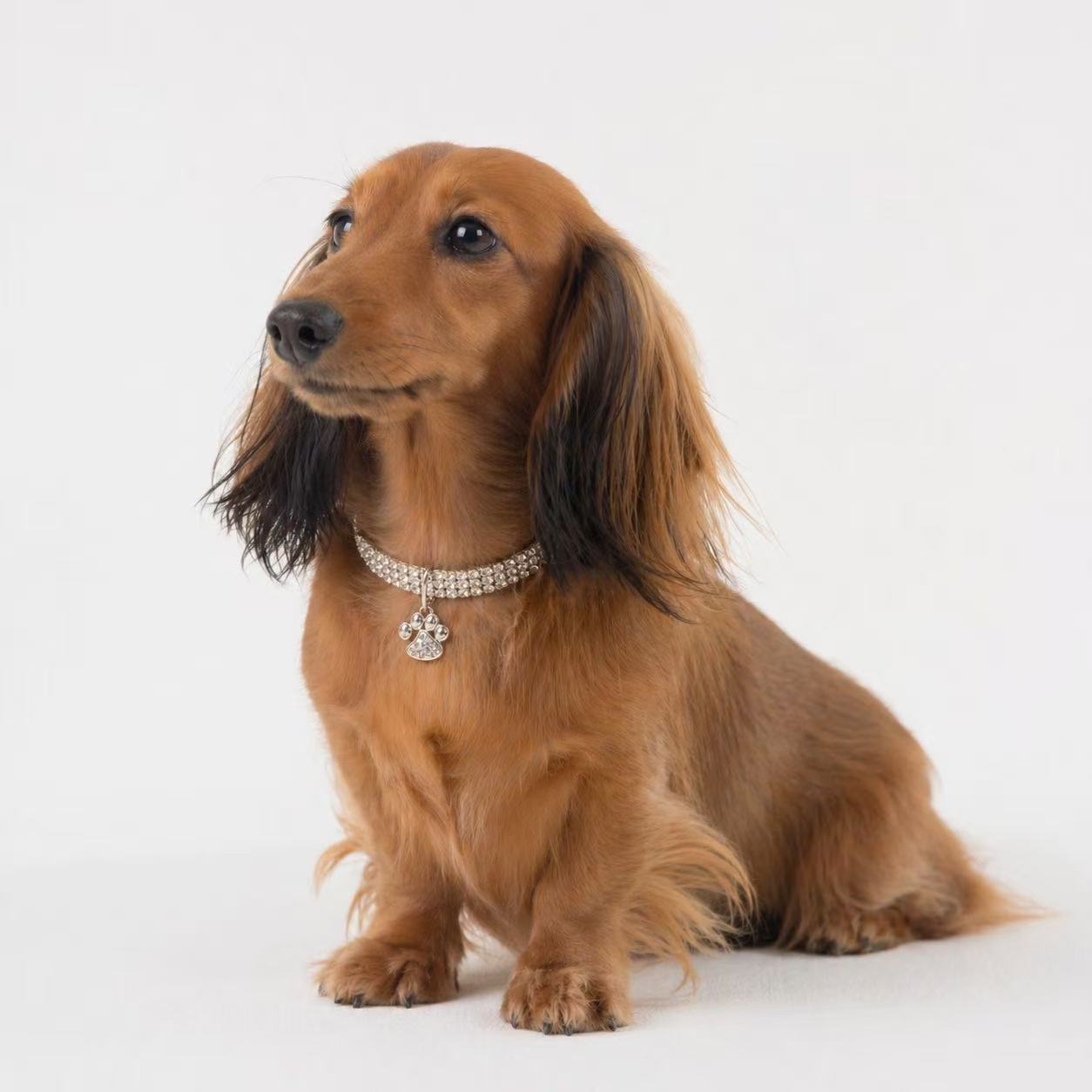 Luxury Rhinestone Pet Collar - Style 10