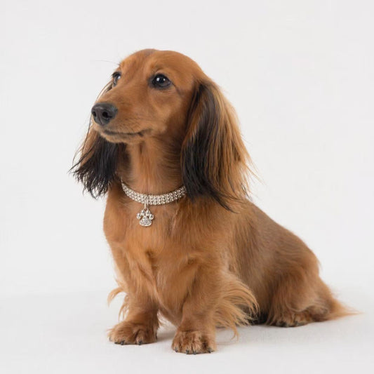 Luxury Rhinestone Pet Collar - Style 10