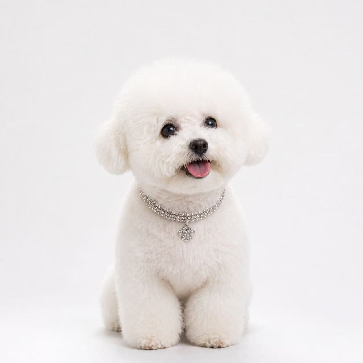 Luxury Rhinestone Pet Collar - Style 10