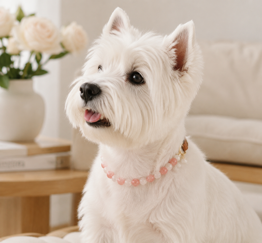 Blush Rose Quartz Pet Collar- Style 05